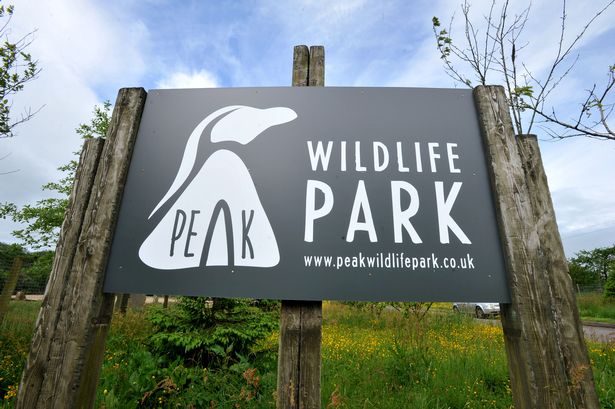 Peak wildlife sign